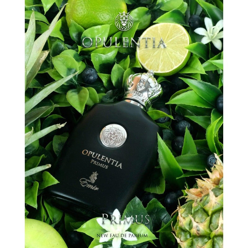 Emir Opulentia Primus parfüümvesi vesi meestele 100ml - Royalparfume EMIR Kõik
