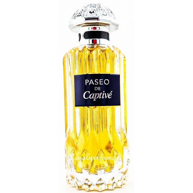 PENDORA SCENTS Paseo De Captive parfüümvesi vesi meestele 100ml - Royalparfume PENDORA SCENT Kõik